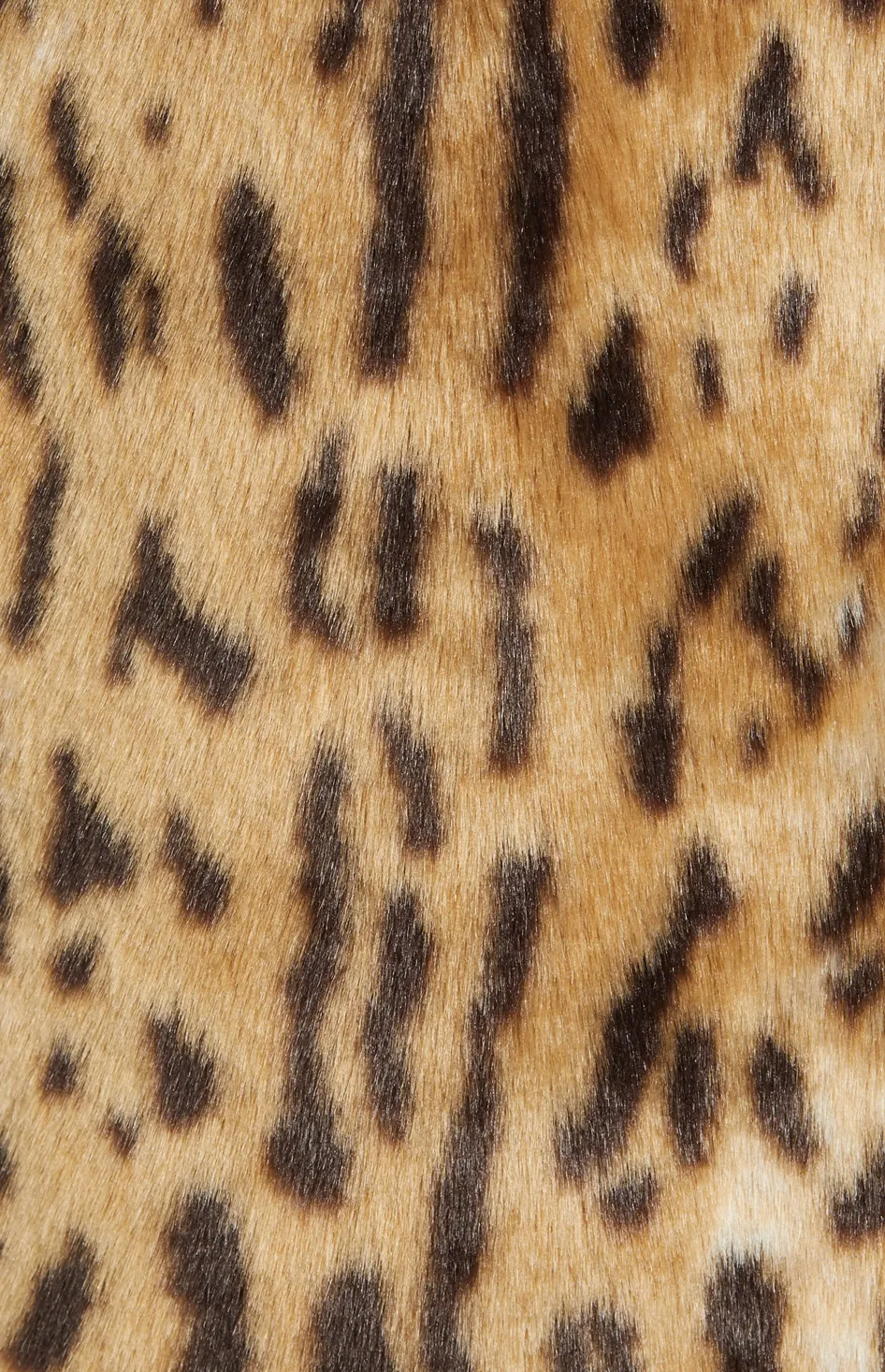 Elaine Coat - Jaguar