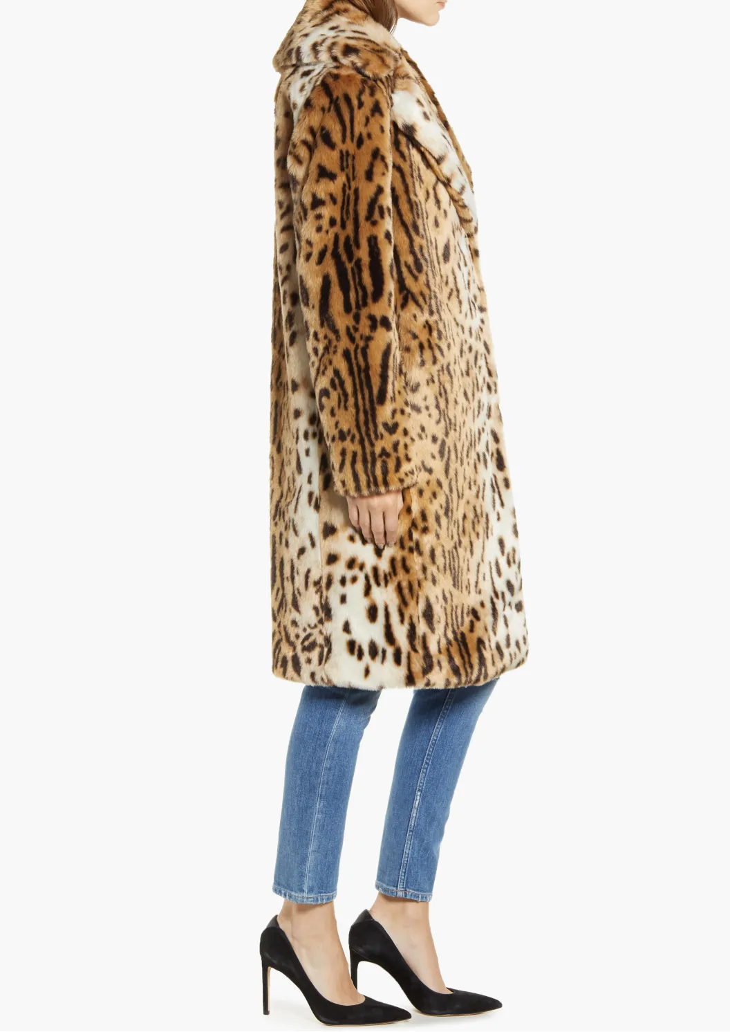 Elaine Coat - Jaguar